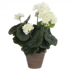 GERÂNIO COR CREME PVC EM VASO