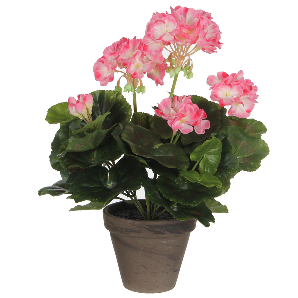 GERÂNIO COR BRANCO ROSADO PVC EM VASO CINZENTO