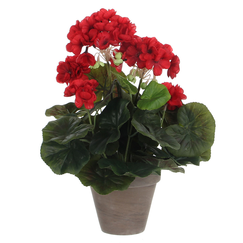 GERÂNIO COR VERMELHO PVC EM VASO CINZENTO