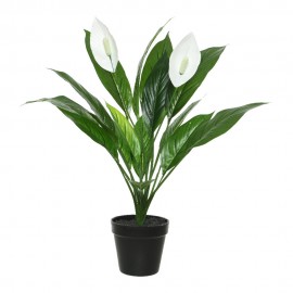 PLANTA ARTIFICIAL LÍRIO DA PAZ