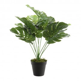 PLANTA ARTIFICIAL COSTELA DE ADÃO COM 7 FOLHAS
