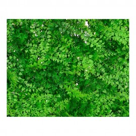 JARDIM VERTICAL 100 x100cm