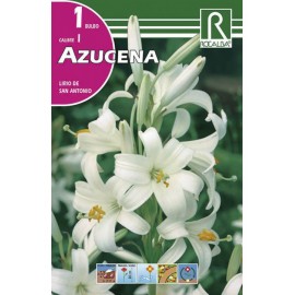 S.BOLBO SAQUETA ROCALBA ASUCENA LIRIO DE SAN ANTONIO - EBAZ6515