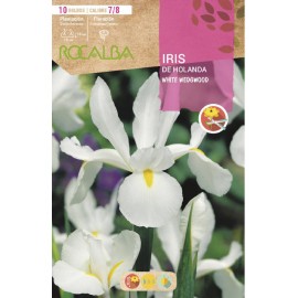 S.BOLBO SAQUETA ROCALBA IRIS DA HOLANDA WEDGEWOOD-EBIR6255