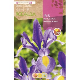 S.BOLBO SAQUETA ROCALBA IRIS DA HOLANDA  PROFESSOR BLAAUW-EBIR6270