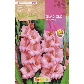 S.BOLBO SAQUETA ROCALBA GALADIOLO APPLAUSE - EBGL8015