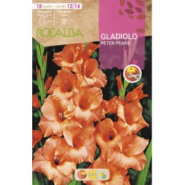 S.BOLBO SAQUETA ROCALBA GALADIOLO PETER PEARS - EBGL8110