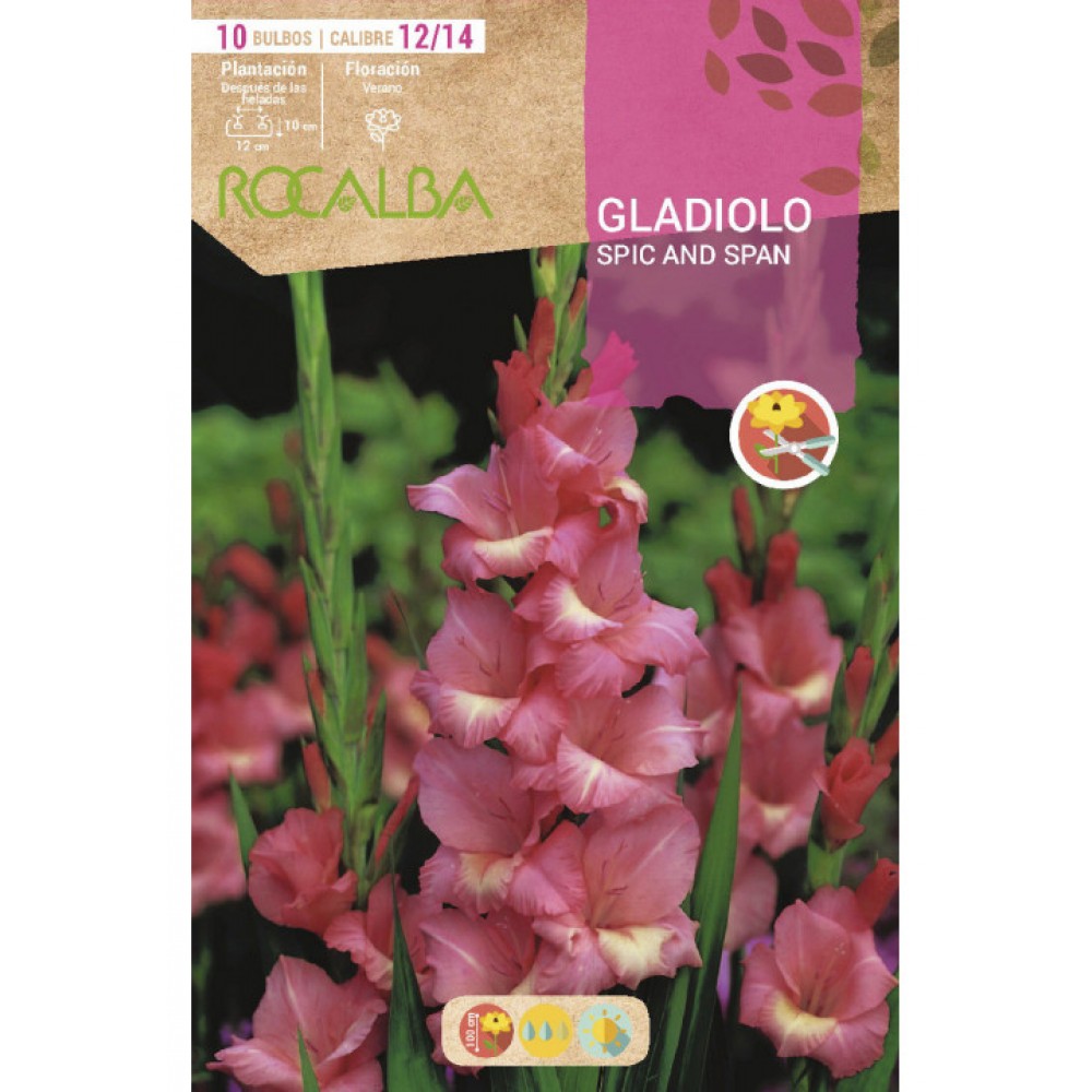 S.BOLBO SAQUETA ROCALBA GALADIOLO SPIC AND SPAN - EBGL8090