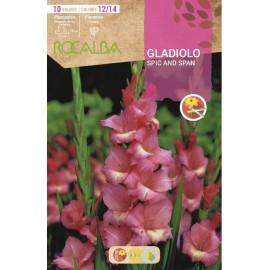 S.BOLBO SAQUETA ROCALBA GALADIOLO SPIC AND SPAN - EBGL8090