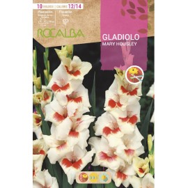S.BOLBO SAQUETA ROCALBA GALADIOLO MARY HOUSLEY - EBGL8130