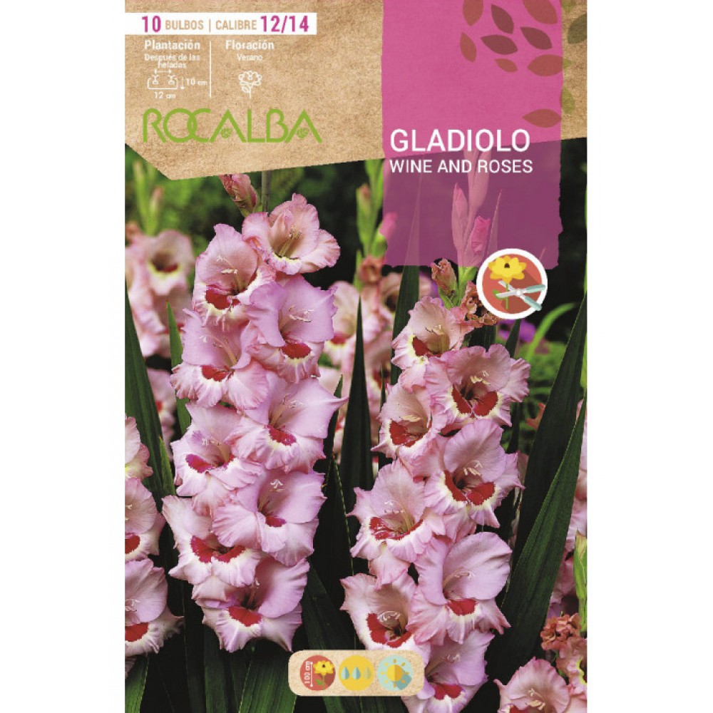 S.BOLBO SAQUETA ROCALBA GALADIOLO WINE AND ROSES - EBGL8140