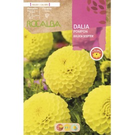 S.BOLBO SAQUETA ROCALBA DALIA GOLDEN SCEPTER - EBDP8475