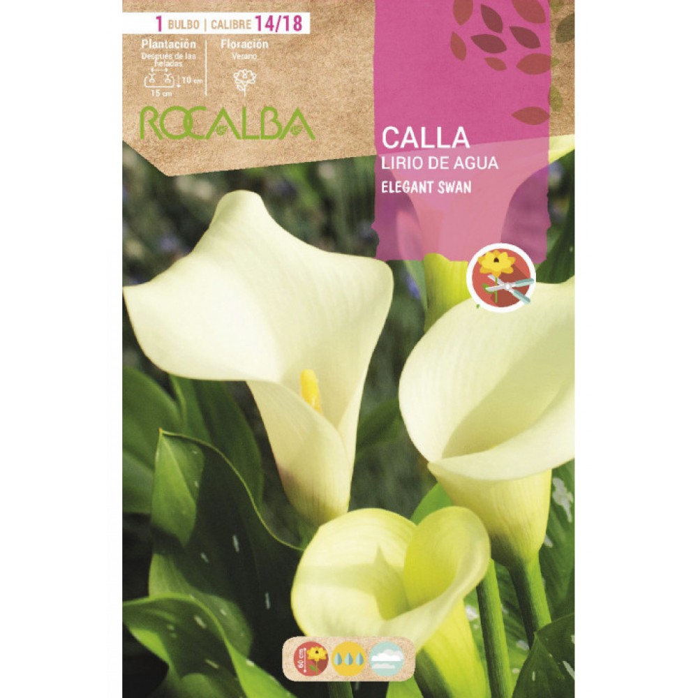 S.BOLBO SAQUETA ROCALBA JARROS BRANCO