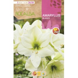 S.BOLBO SAQUETA ROCALBA AMARYLLIS BRANCO - EBAM5905
