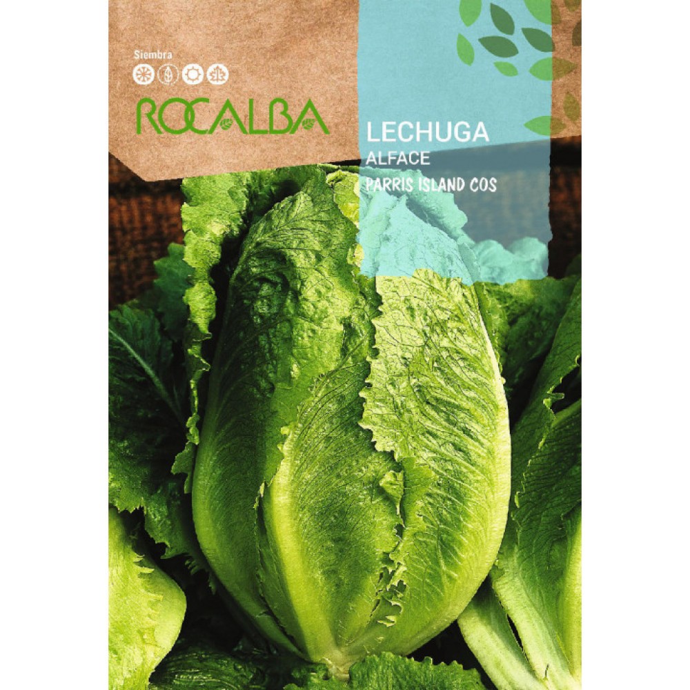 S.ALFACE ROCALBA ROMANA PARRIS ISLAND