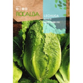 S.ALFACE ROCALBA ROMANA PARRIS ISLAND