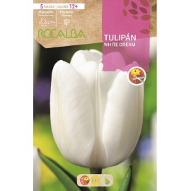 S.BOLBO SAQUETA TULIPA BRANCA WHITE DREAM -EBTN5055