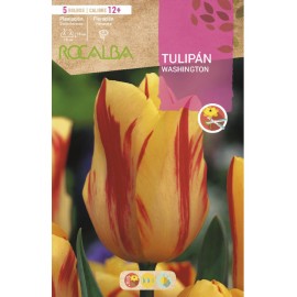S.BOLBO SAQUETA TULIPA WASHINGTON-EBTN5070
