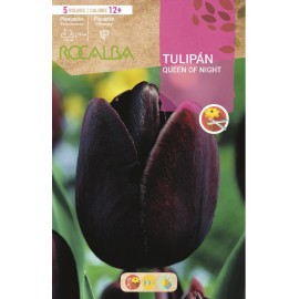 S.BOLBO SAQUETA TULIPA PRETA QUEEN NIGHT -EBTN5080