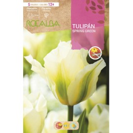 S.BOLBO SAQUETA TULIPA SPRING GREEN-EBTN5110