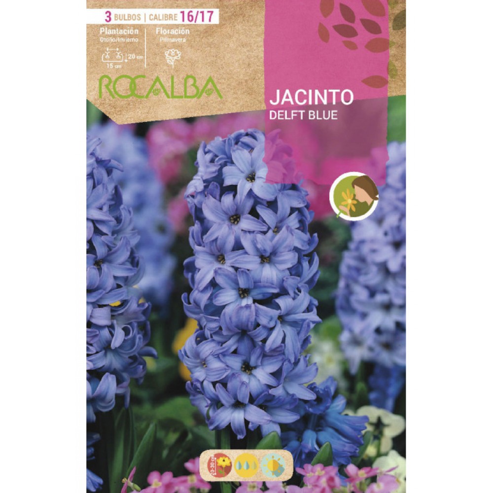 S.BOLBO SAQUETA JACINTO DELFT BLUE -AZUL INTENSO<br> - EBJN5505