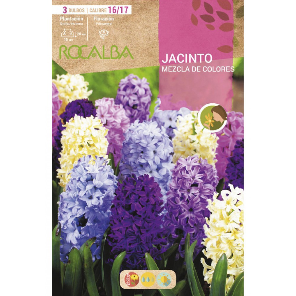 S.BOLBO SAQUETA JACINTO MISTURA DE CORES  - EBJN5515