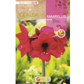 S.BOLBO SAQUETA AMARYLLIS ROSA- EBAM5895