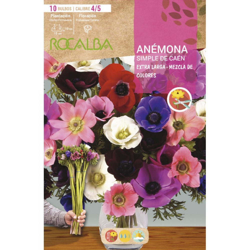 S.BOLBO SAQUETA ROCALBA ANEMONA SIMPLES MISTURA DE CORES CAEN EX.LONGA EBAG6080
