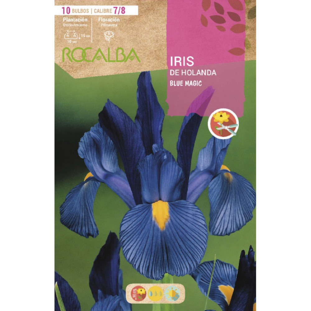 S.BOLBO RO.SAQUETA IRIS DA HOLANDA BLUE MAGIC AZUL -EBIR6260