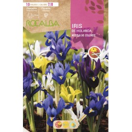 S.BOLBO RO.SAQUETA IRIS HOLANDA  MISTURA DA CORES-EBIR6275