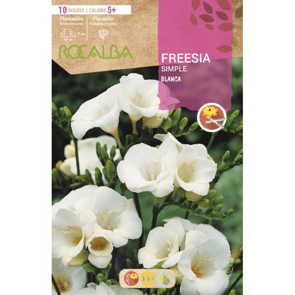S.BOLBO RO.SAQUETA FRESIA SIMPLES  BRANCA - EBFR6310