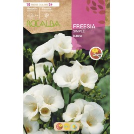 S.BOLBO RO.SAQUETA FRESIA SIMPLES  BRANCA - EBFR6310