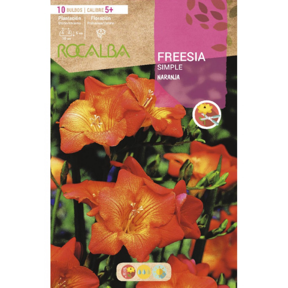S.BOLBO RO.SAQUETA FRESIA SIMPLES LARANJA - EBFR6315