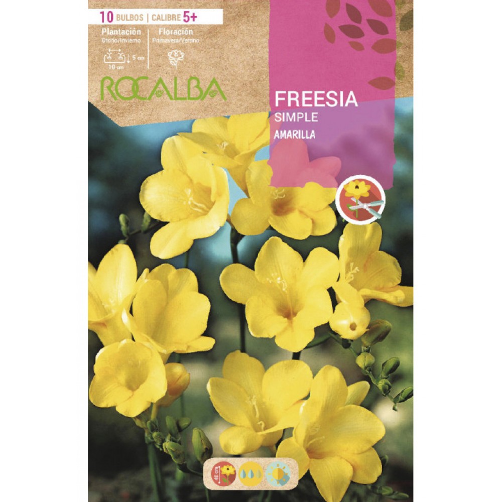 S.BOLBO RO.SAQUETA FRESIA SIMPLES AMARELA - EBFR6325