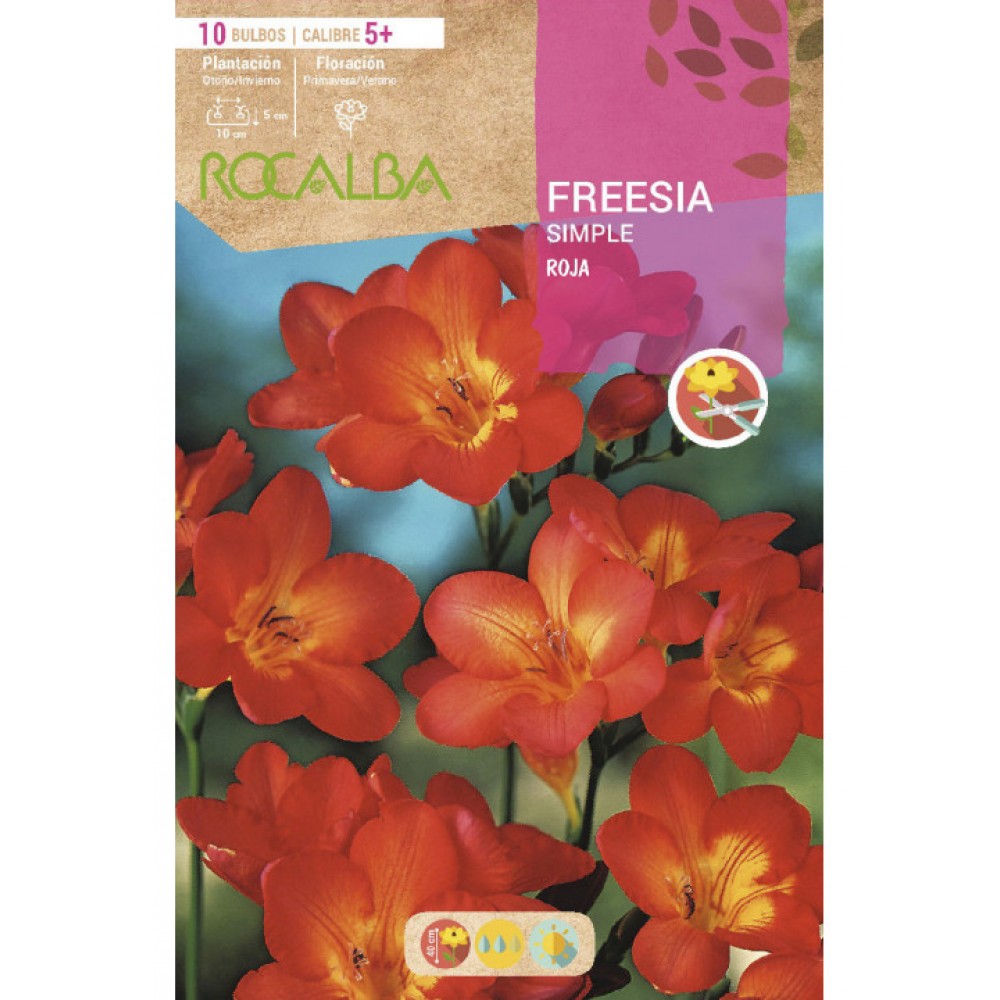 S.BOLBO RO.SAQUETA FRESIA SIMPLES VERMELHO - EBFR6330