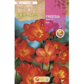 S.BOLBO RO.SAQUETA FRESIA SIMPLES VERMELHO - EBFR6330