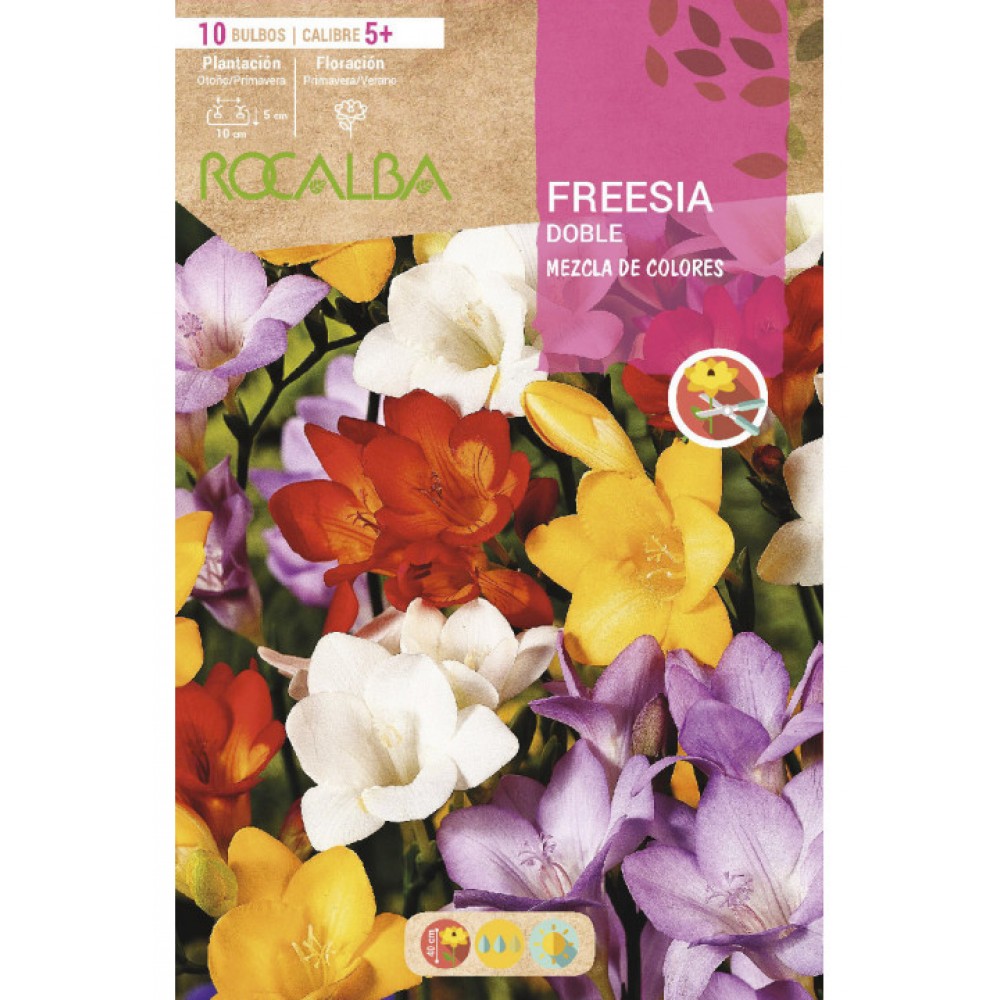 S.BOLBO RO.SAQUETA FRESIA DOBRADA MISTURA DE CORES - EBFD6380