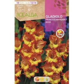 S.BOLBO SAQUETA RO. GALADIOLO PRINCESS MARGARET - EBGL8040