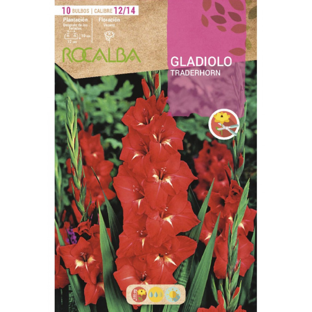 S.BOLBO SAQUETA  GALADIOLO TRADERHORN-EBGL8005