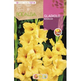 S.BOLBO SAQUETA RO. GALADIOLO NOVALUX -EBGL8010
