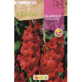 S.BOLBO SAQUETA RO. GALADIOLO VICTOR BORG-EBGL8030