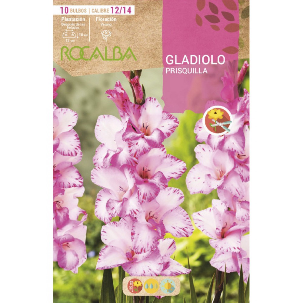 S.BOLBO SAQUETA GALADIOLO PRISQUILLA -EBGL8035