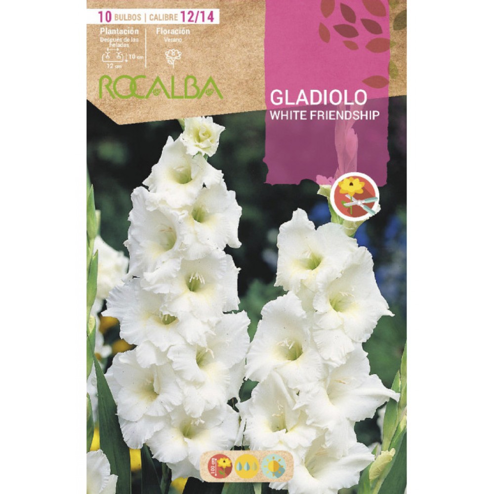S.BOLBO SAQUETA GALADIOLO WHITE FRIENDSHIP-EBGL8150
