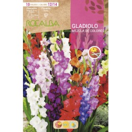 S.BOLBO SAQUETA GALADIOLO MISTURA CORES-EBGL8160