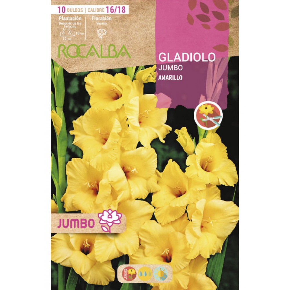 S.BOLBO SAQUETA GALADIOLO JUMBO AMARELO -EBGJ8205
