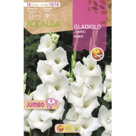 S.BOLBO SAQUETA GALADIOLO JUMBO BRANCO -EBGJ8210