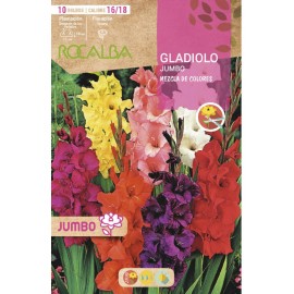 S.BOLBO SAQUETA GALADIOLO JUMBO MISTURA -EBGJ8225