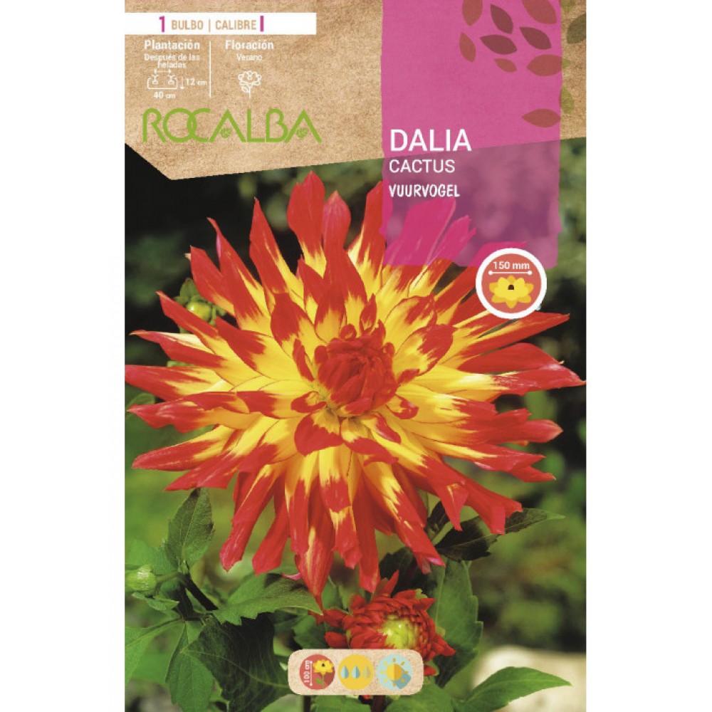 S.BOLBO SAQUETA DALIA CACTUS VUURVOGEL - EBDC8350