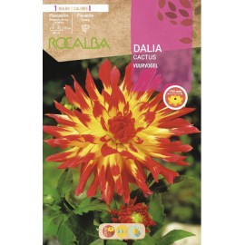 S.BOLBO SAQUETA DALIA CACTUS VUURVOGEL - EBDC8350