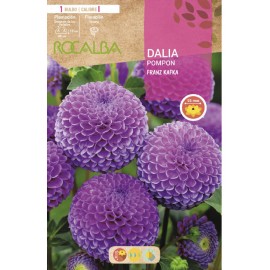 S.BOLBO SAQUETA DALIA POMPOM FRANZ KAFKA - EBDP8455